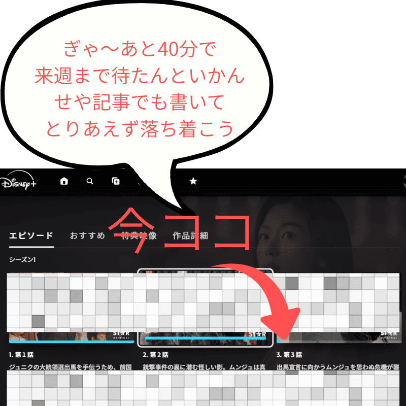 北極星視聴中